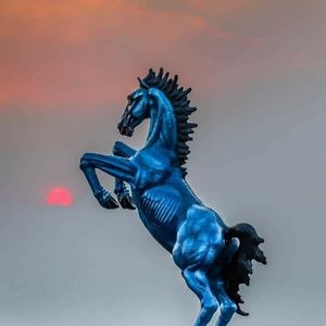 Meet your Posher, Rob